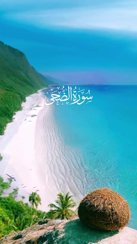 TikTok video thumbnail by talal.alzaatari