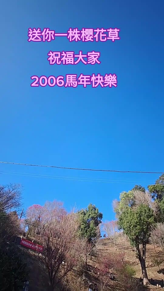 TikTok video thumbnail by user831471812096