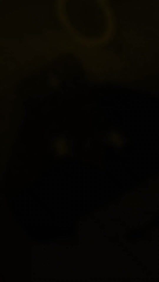 TikTok video thumbnail by imfine_apparel