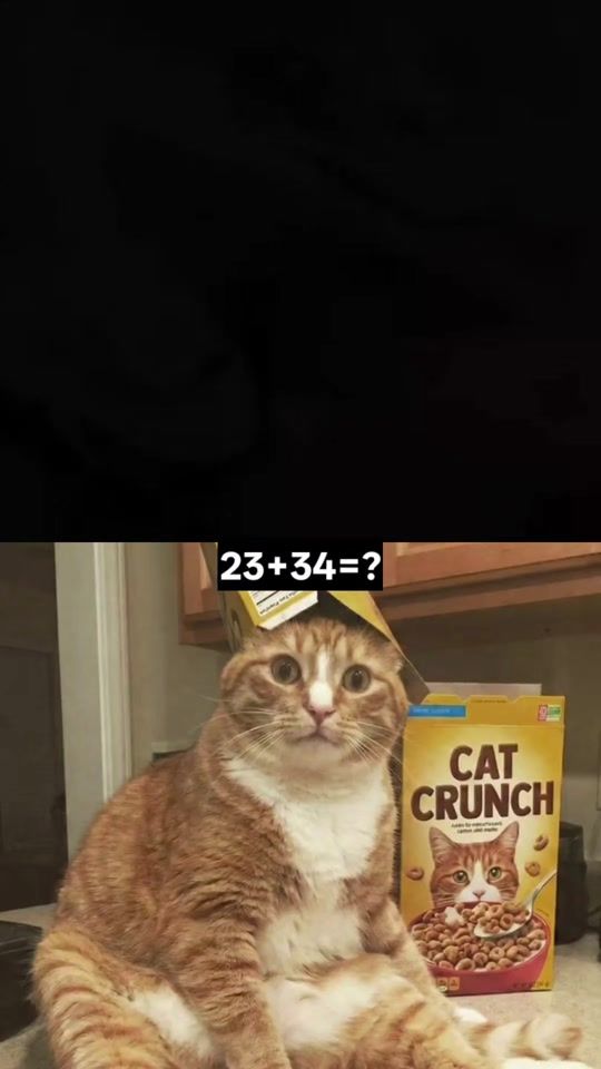 TikTok video thumbnail by zoo.sync