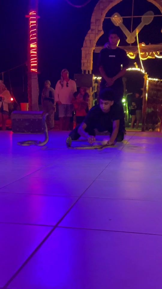 TikTok video thumbnail by mohamedhassan_85