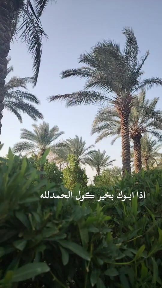 TikTok video thumbnail by w__z__2005_