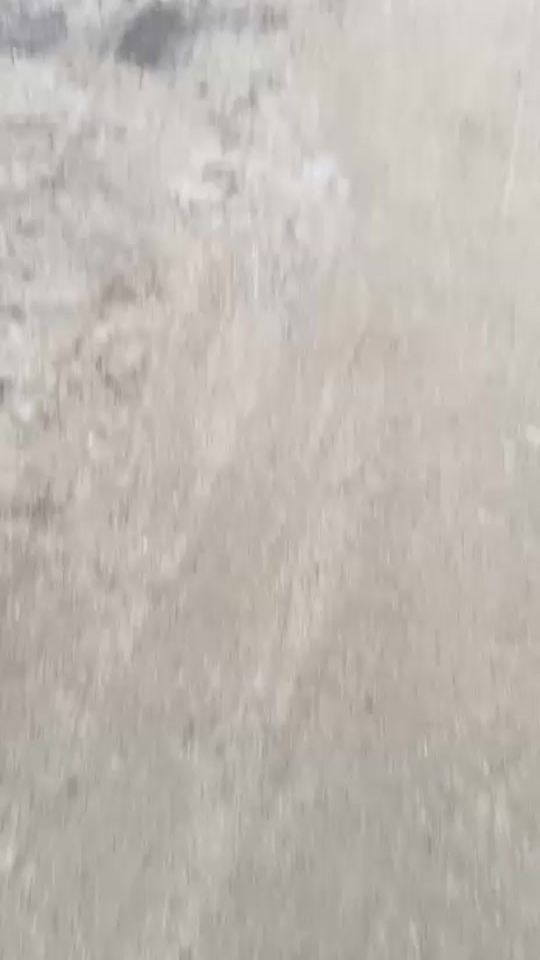 TikTok video thumbnail by franktabora