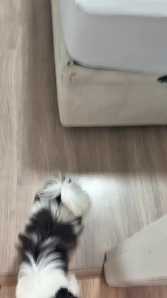 TikTok video thumbnail by lea.de.manoel