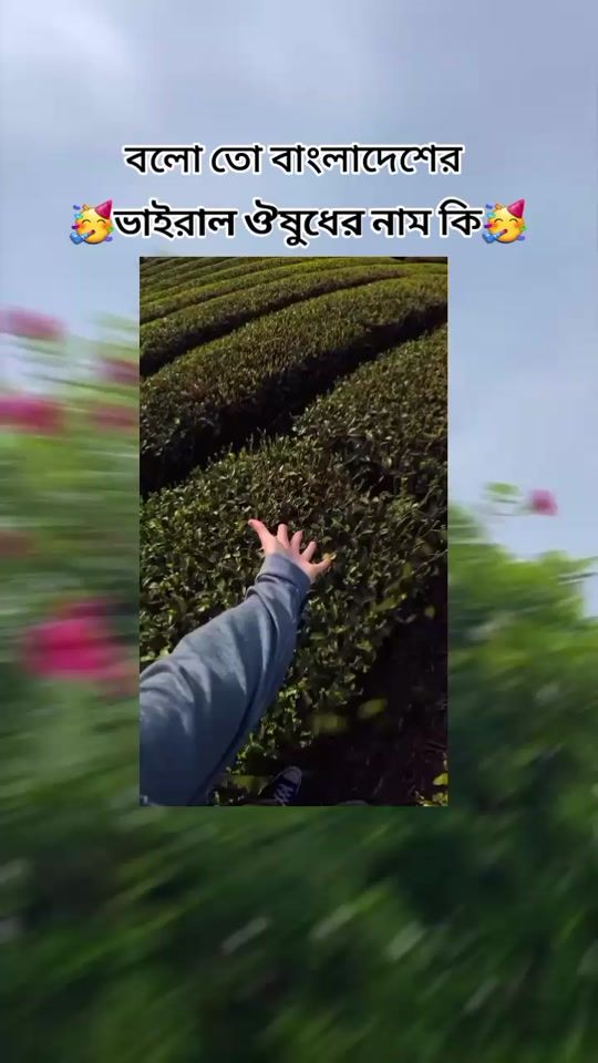TikTok video thumbnail by rahman_sabbir1