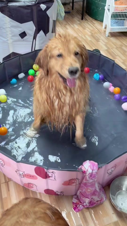 TikTok video thumbnail by fotohelen