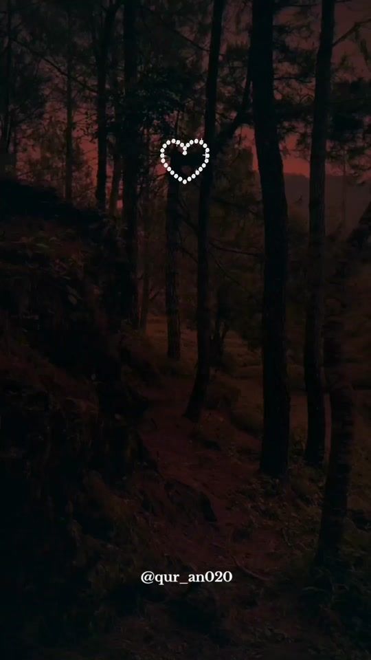 TikTok video thumbnail by qur_an020