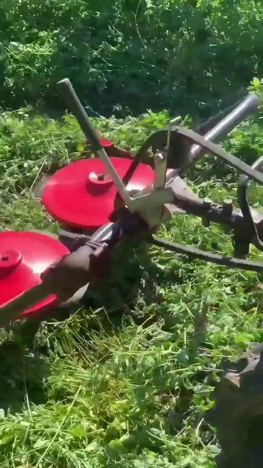 TikTok video thumbnail by user3516983563853