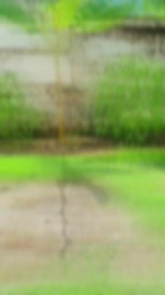 TikTok video thumbnail by nxts_boy