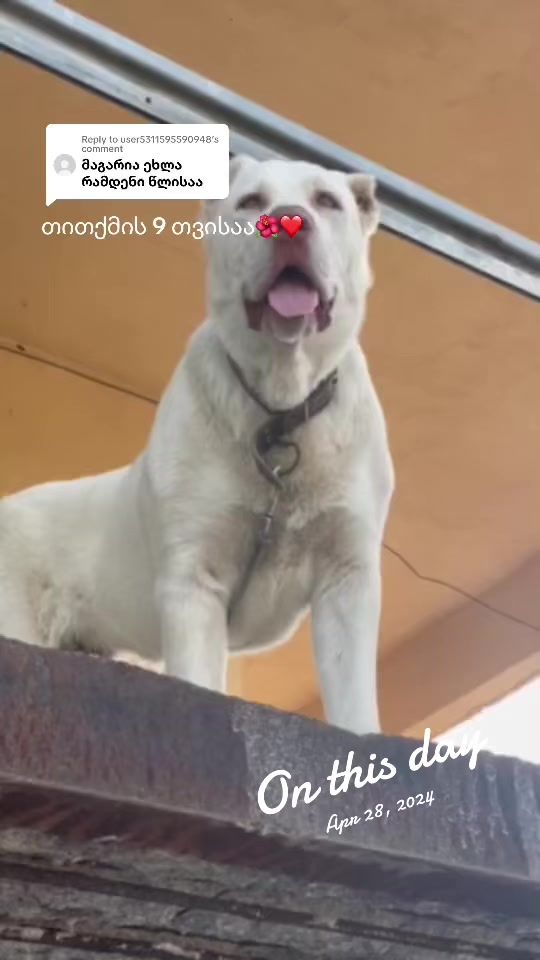 TikTok video thumbnail by selfish1113