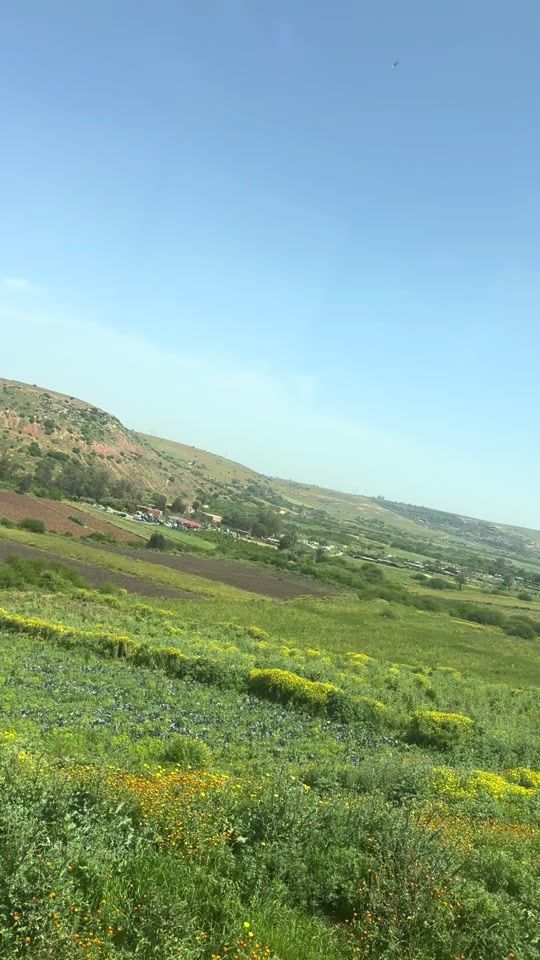 TikTok video thumbnail by hanan_a128
