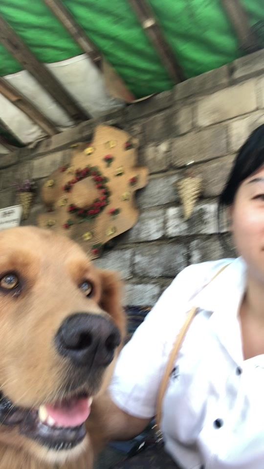 TikTok video thumbnail by ngwehtar