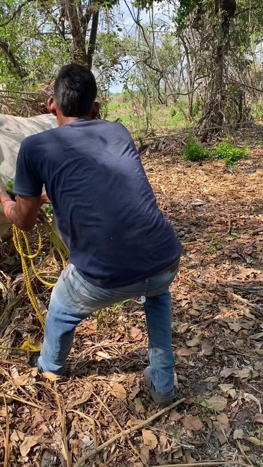 TikTok video thumbnail by jose_andres204