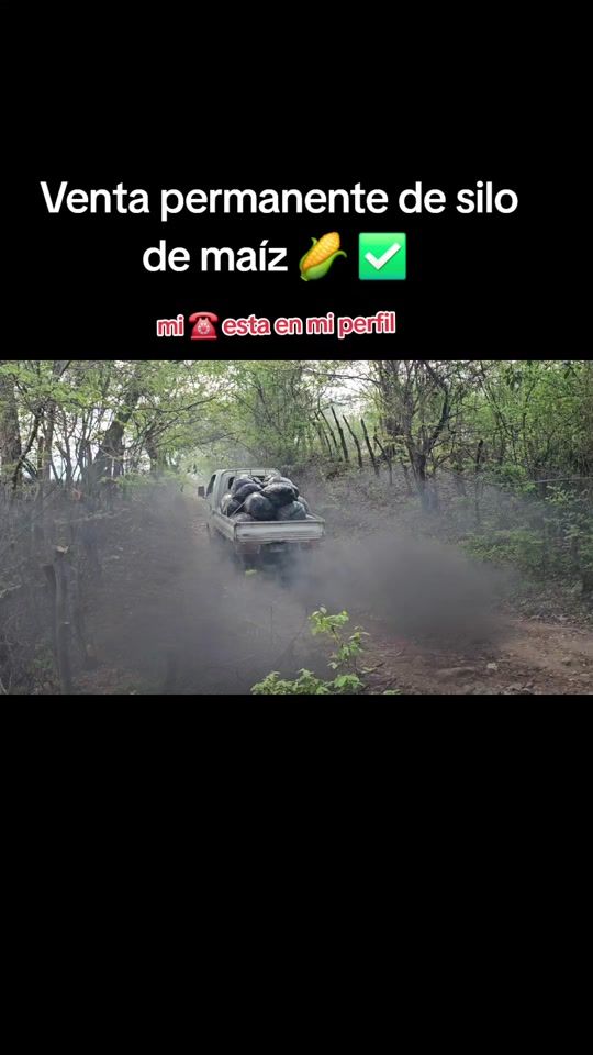 TikTok video thumbnail by augusto_sevilla