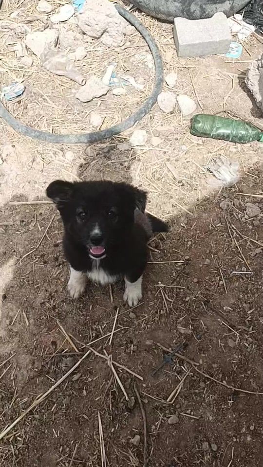 TikTok video thumbnail by 8___8___5