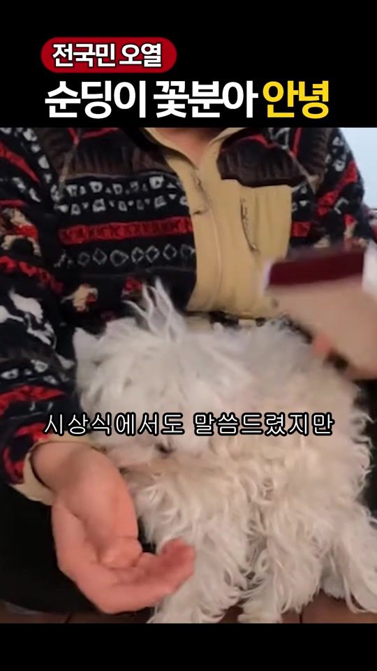 TikTok video thumbnail by celebtalktalk