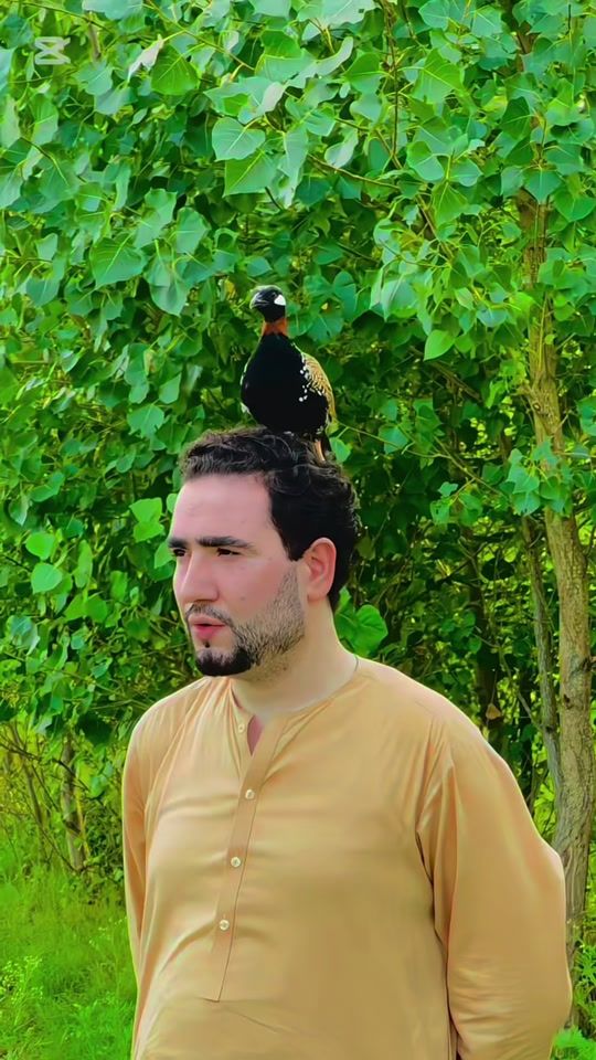 TikTok video thumbnail by ibrahimkhan1190