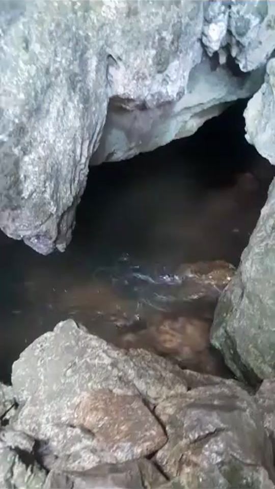 TikTok video thumbnail by 520veronica