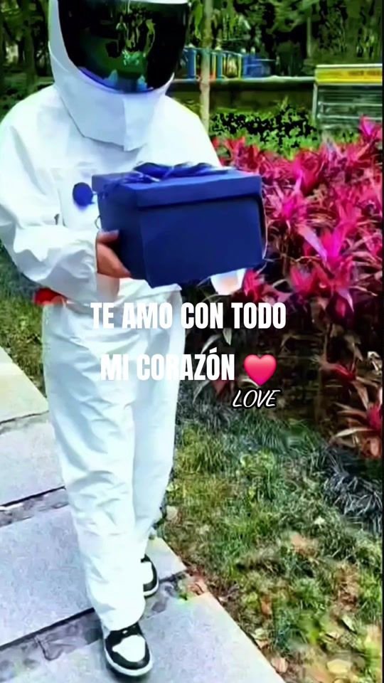 TikTok video thumbnail by patybrito81