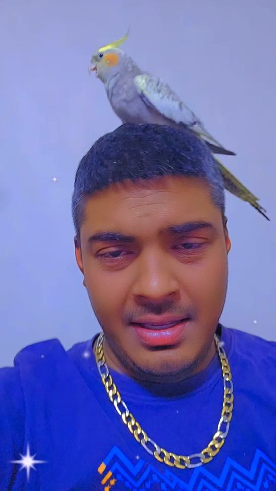 TikTok video thumbnail by jnrabdul