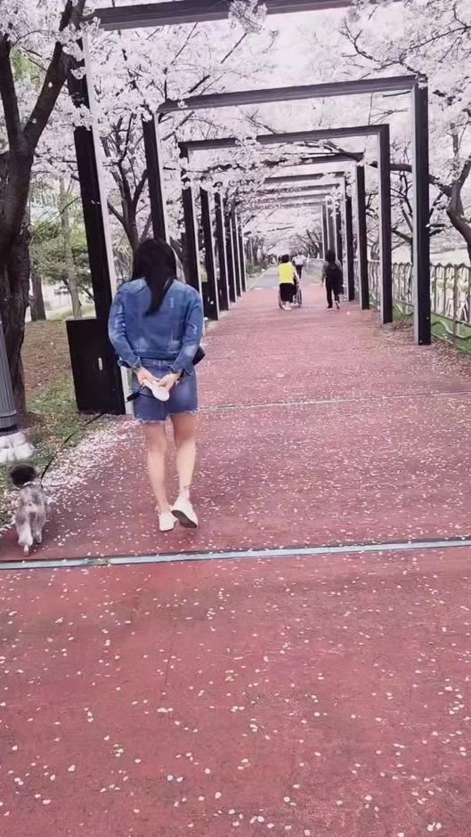 TikTok video thumbnail by user6601290359498