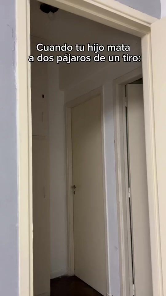 TikTok video thumbnail by gyuaosd
