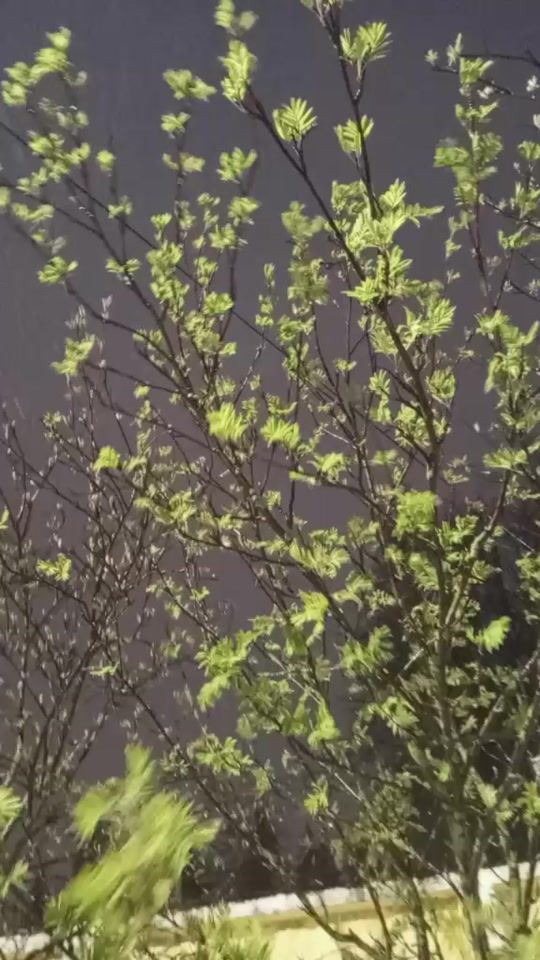 TikTok video thumbnail by shaxmaryam04.05
