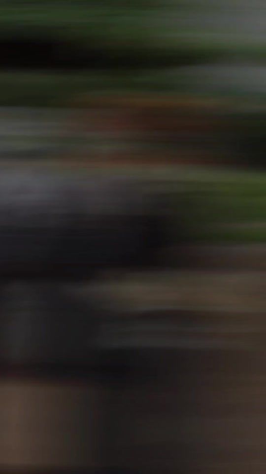 TikTok video thumbnail by lm8j01