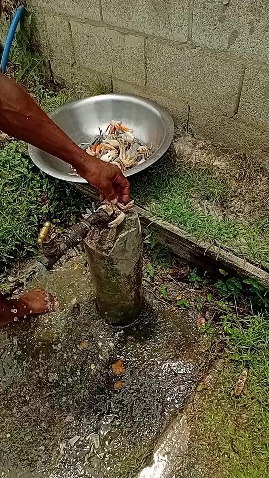 TikTok video thumbnail by akil.sandy8