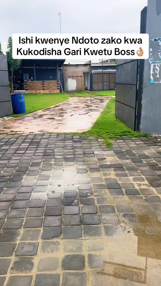 TikTok video thumbnail by frankies_safari