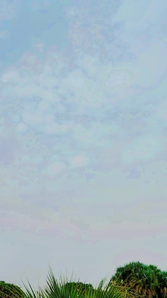 TikTok video thumbnail by wal_ali14