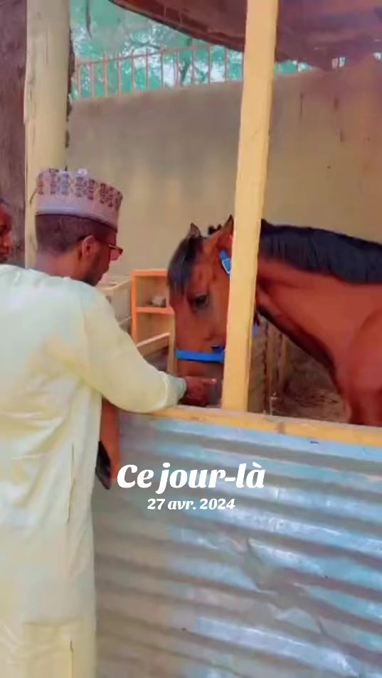 TikTok video thumbnail by boubavingtans