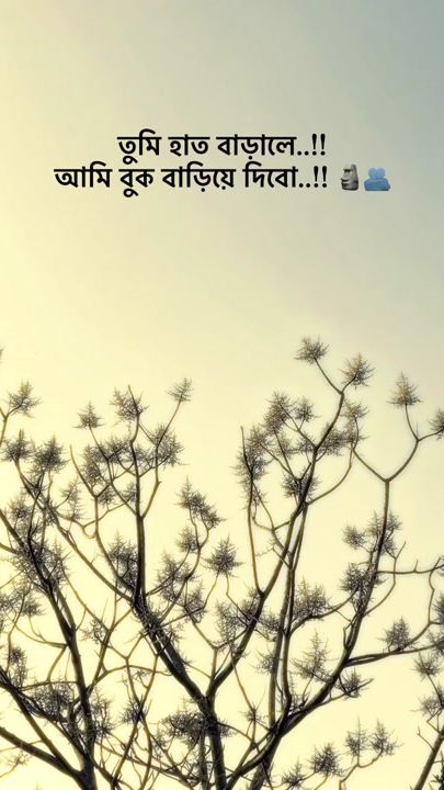 TikTok video thumbnail by lyrics_shanto4