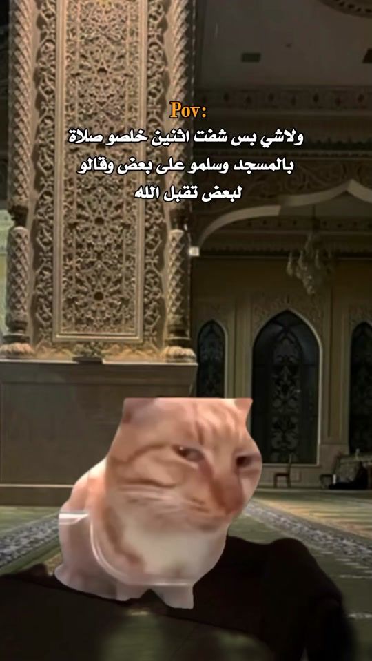 TikTok video thumbnail by als.alaf