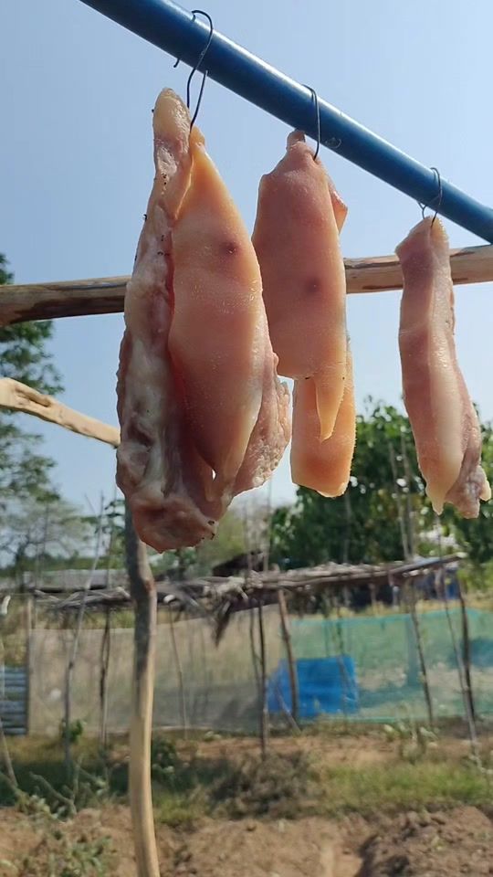TikTok video thumbnail by caloy.official