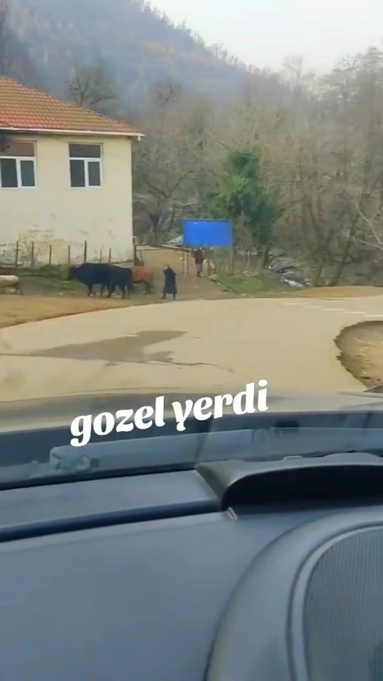 TikTok video thumbnail by qara_goz__