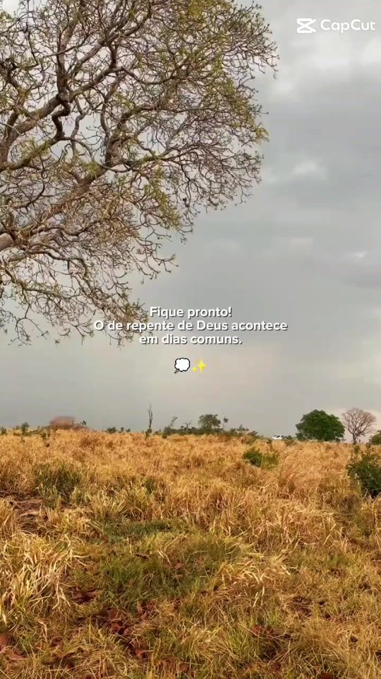 TikTok video thumbnail by daniel.santos3837