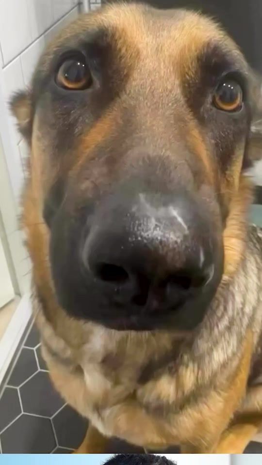 TikTok video thumbnail by spaulrecords