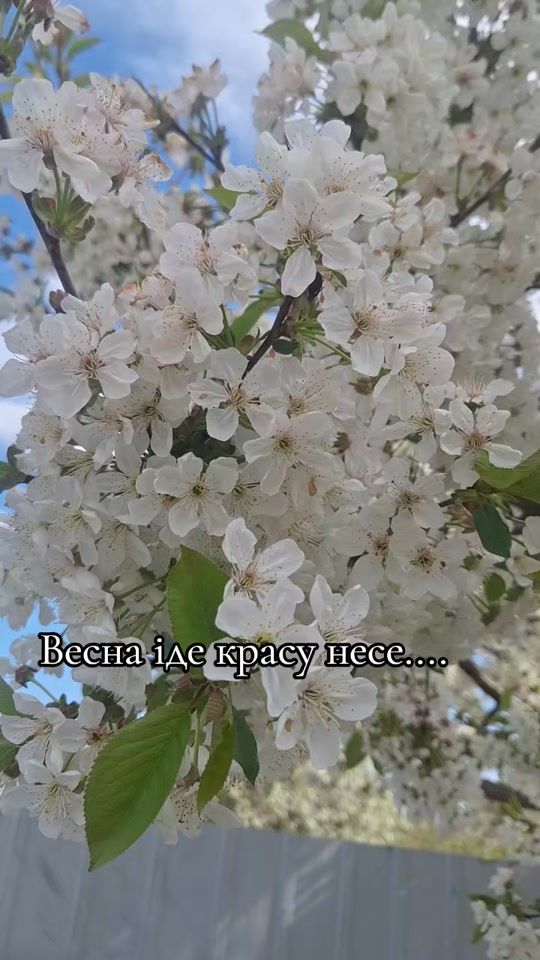 TikTok video thumbnail by user1511819460083