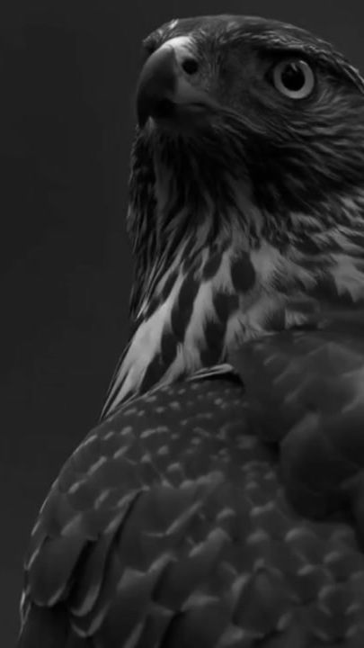 TikTok video thumbnail by dark0077133