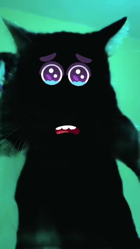 TikTok video thumbnail by mitsky.800