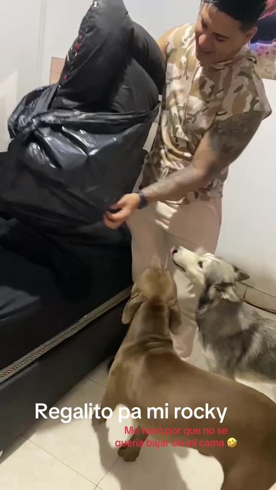 TikTok video thumbnail by williperez69