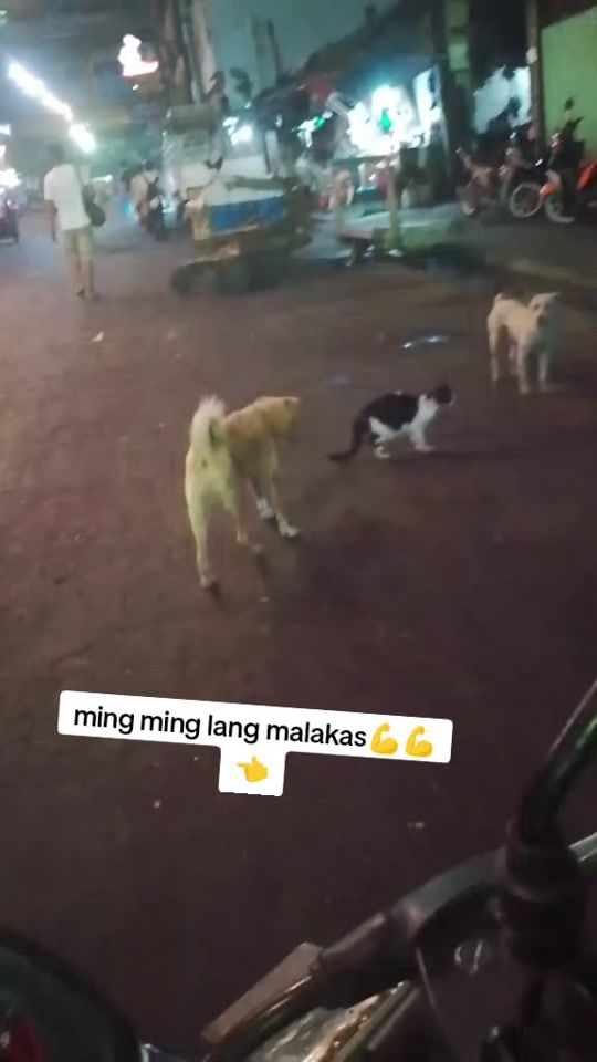TikTok video thumbnail by josawaqoe