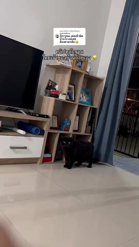 TikTok video thumbnail by kimnumchok._.jigsaw