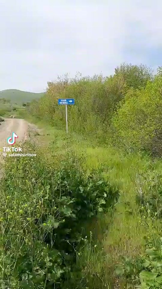 TikTok video thumbnail by fireddinalioqlu