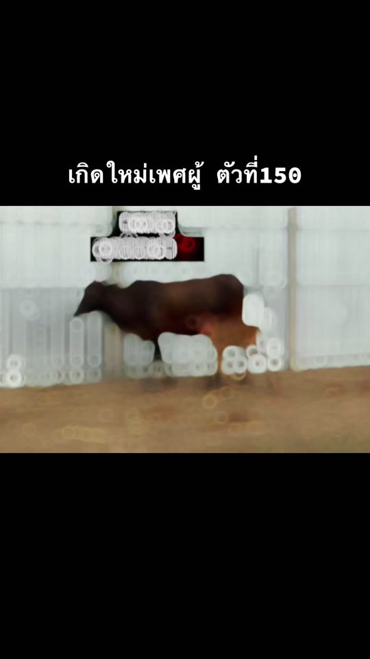 TikTok video thumbnail by ji_ra15