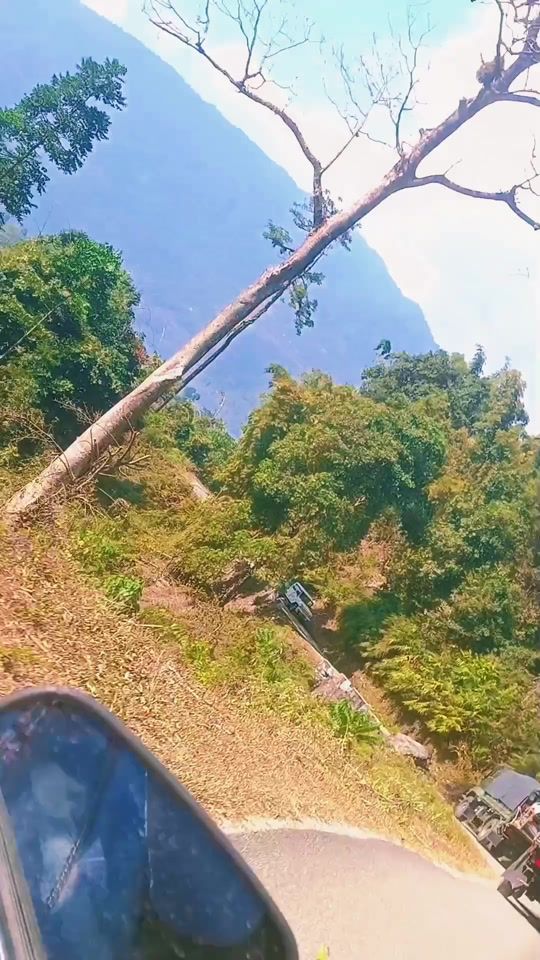 TikTok video thumbnail by chezom506