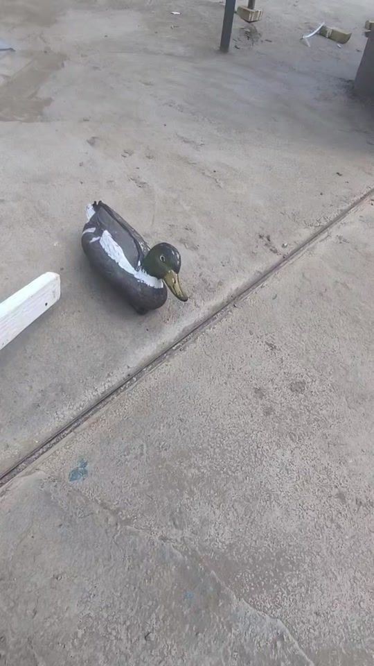 TikTok video thumbnail by serdar.ussa1