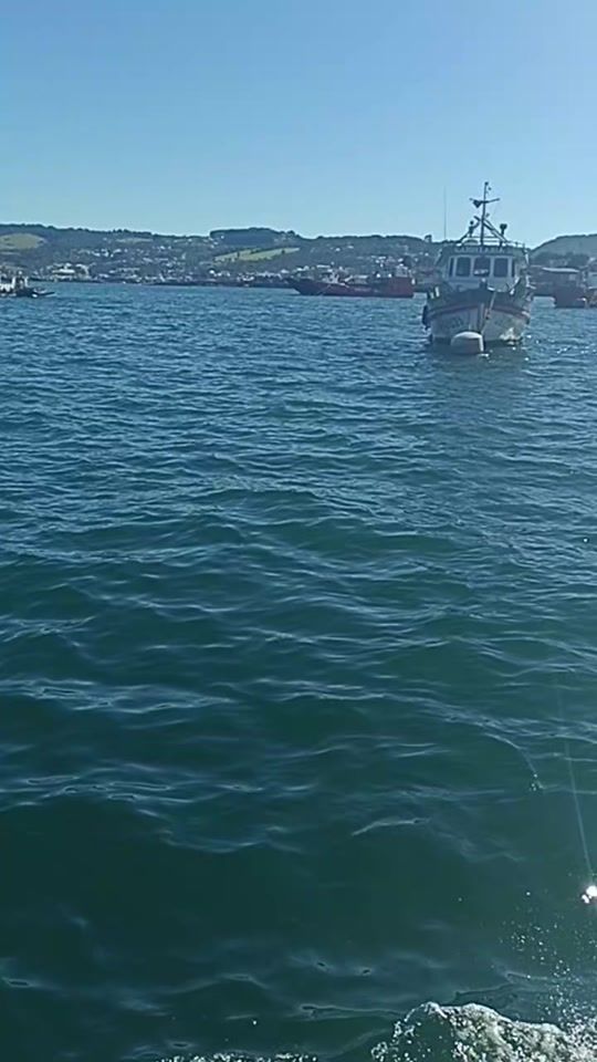 TikTok video thumbnail by sole_tcn