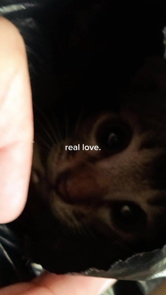 TikTok video thumbnail by nadyasbrna05